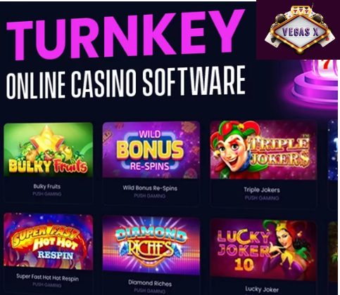 Reason Why turnkey online casino fascinating