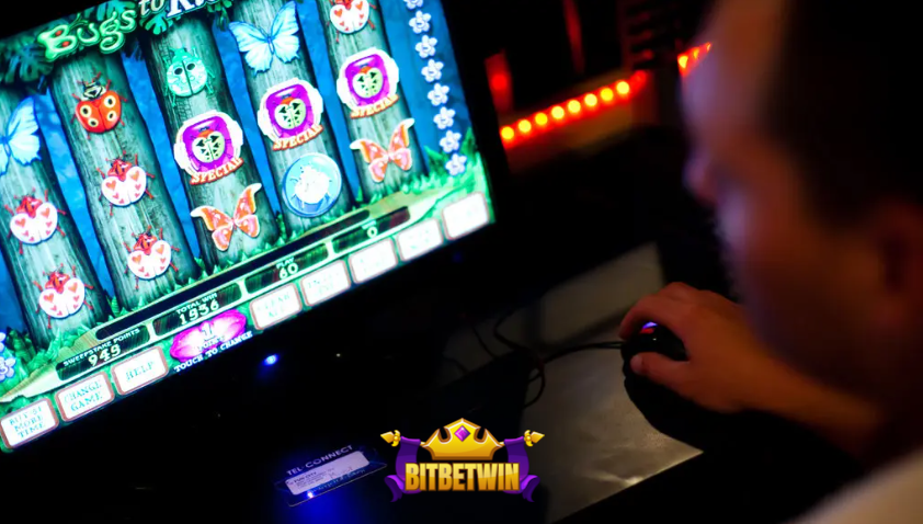 Internet Sweepstakes Cafe: The Future of Gaming?