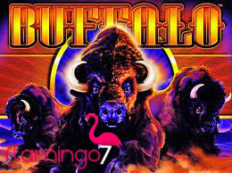 Why You Should Choose Buffalo Slot
