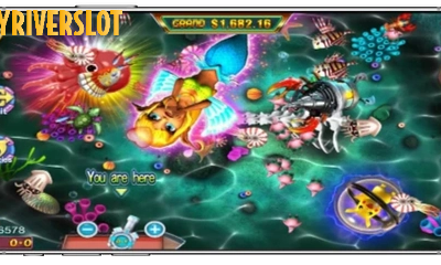 Why Are Online Fishing Games So Popular?