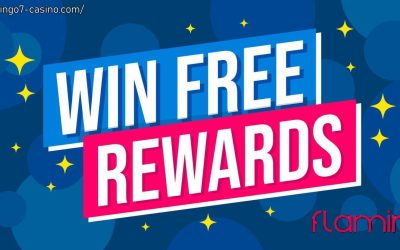 The Role of Sweepstakes Software Distributors in Online Gaming