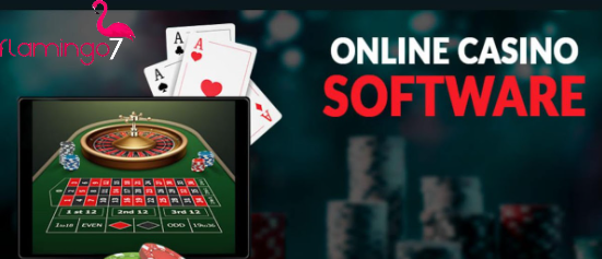 Online Casino Software for Superior Gaming