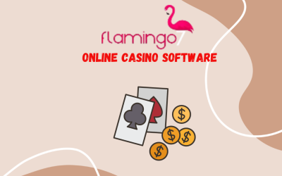 Online Casino Software  2014: Play now